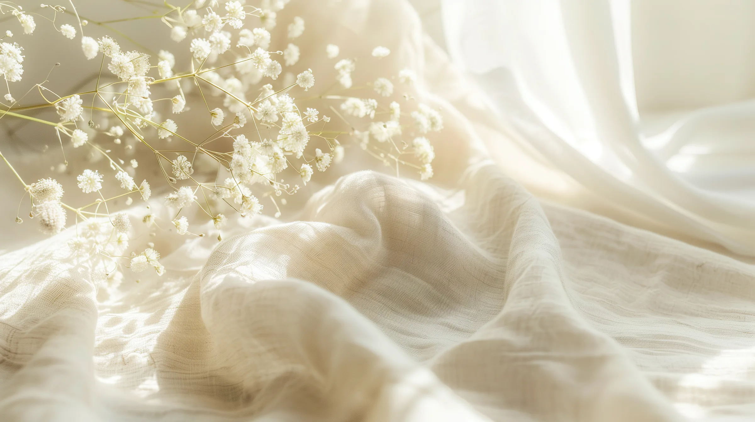Warm natural light over organic textures